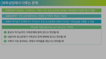 가족심리학개론