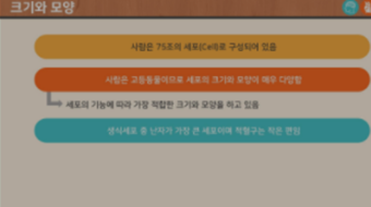 해부생리학